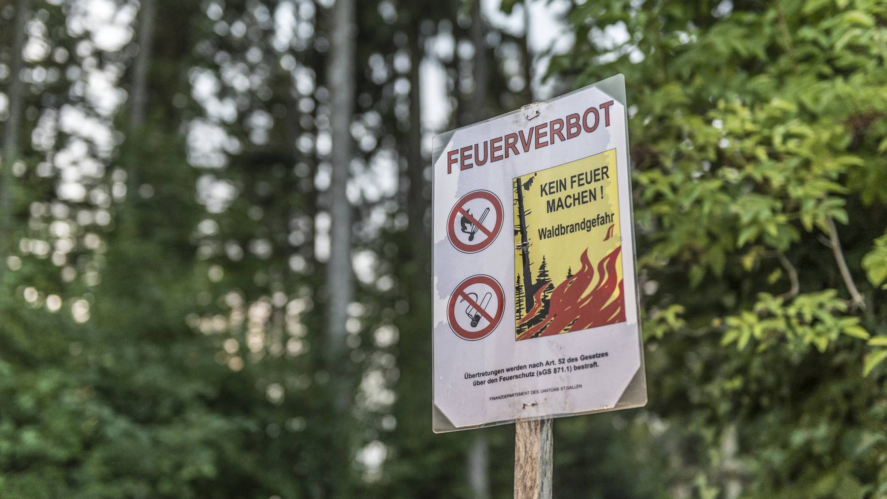 Ab dem 7. Mai darf im Wald und in Waldesnähe wieder Feuer gemacht werden - sofern es keine kommunalen Verbote gibt.