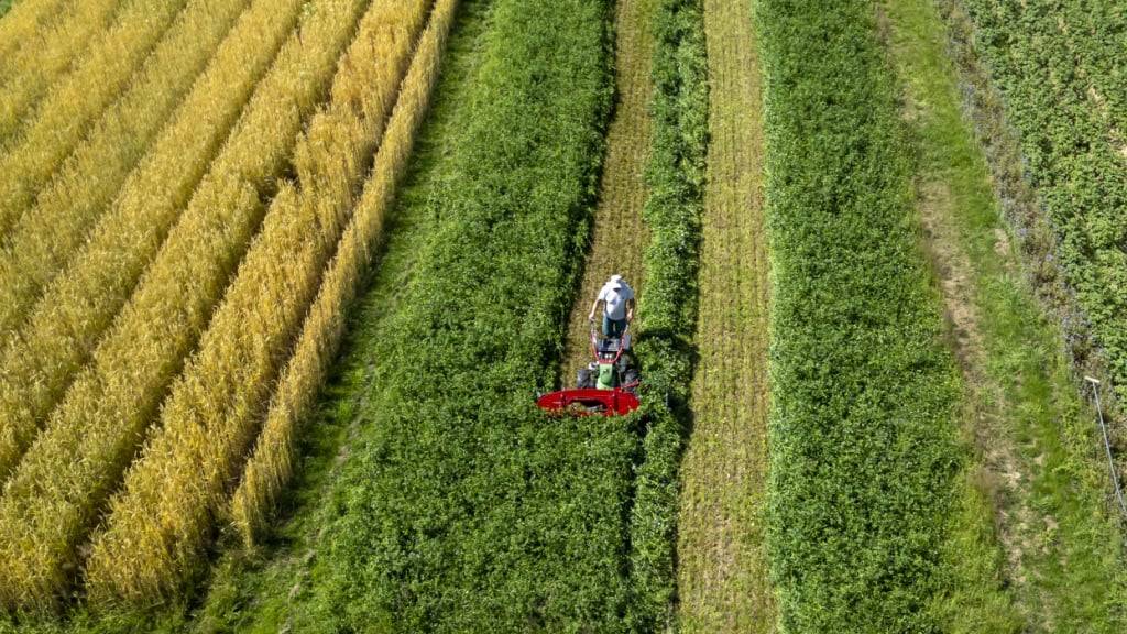 Seit 47 Jahren werden im Rahmen des DOK-Versuchs in Therwil BL die landwirtschaftlichen Systeme Biologisch-dynamisch, Biologisch-organisch, Konventionell, Mineralisch und Ungedüngt miteinander verglichen.