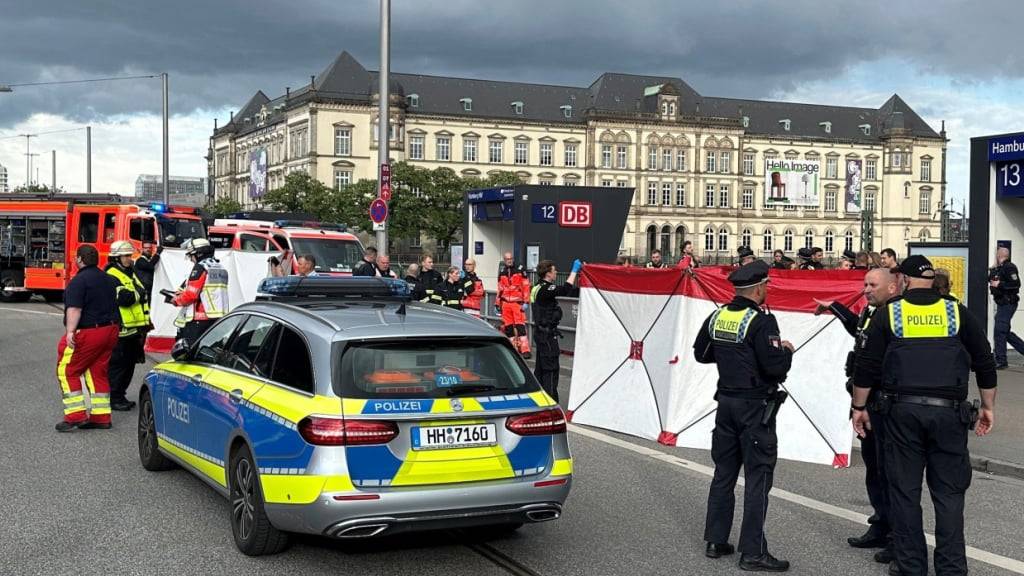 dpatopbilder - recrop - Polizei im Einsatz nahe des Tatorts. Bei einem Messerangriff im Hamburger Hauptbahnhof sind mehrere Menschen schwer verletzt worden. Das berichteten Augenzeugen. Foto: Steven Hutchings/dpa
