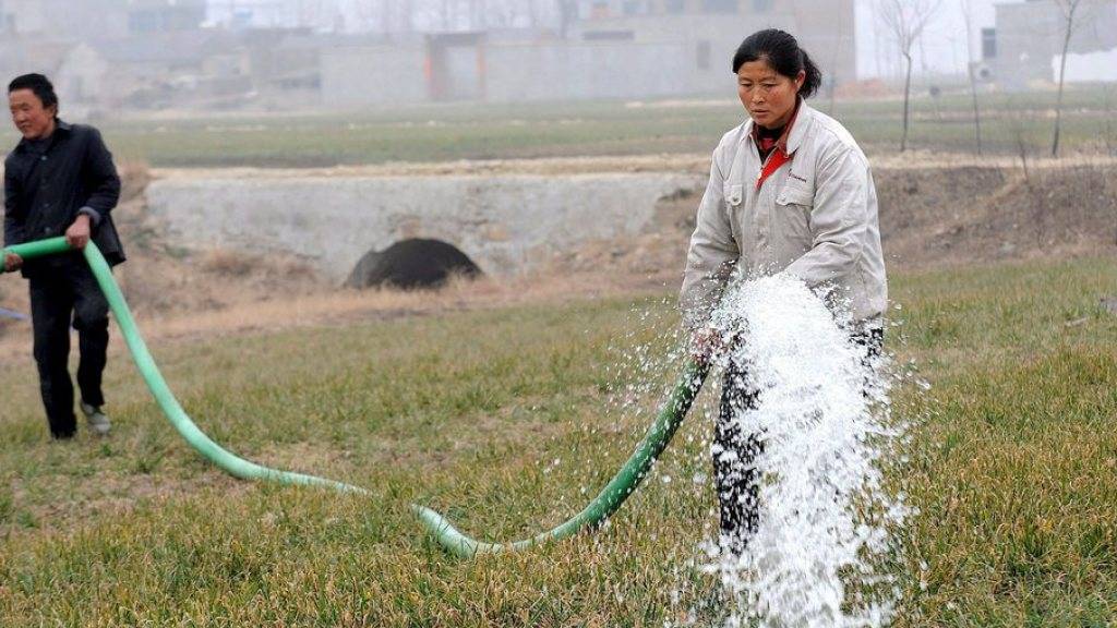 Wasser, gepumpt aus dem Grundwasser: Bäuerinnen in Bozhou, einer Stadt in der chinesischen Provinz Anhui, bewässern ein Weizenfeld. (Archiv)