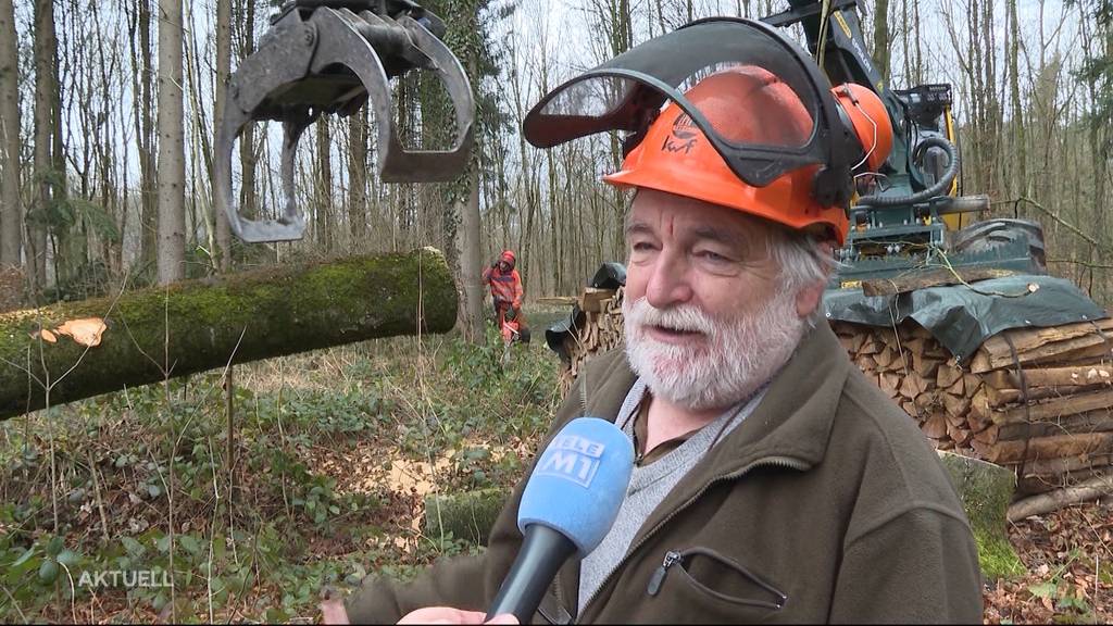 Suva warnt: Aufräumen im Wald nach Sturm nicht ungefährlich