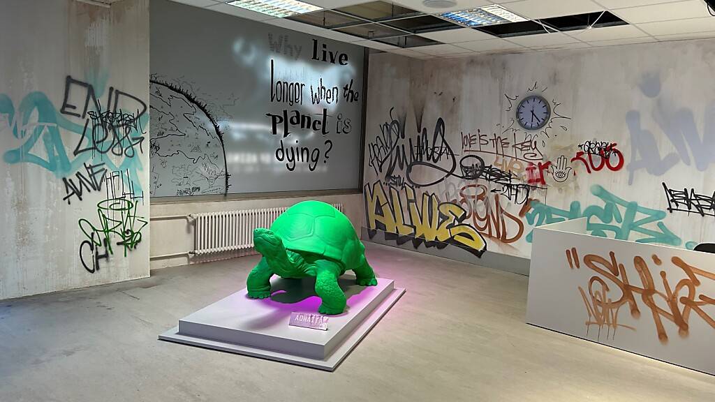 Die alte Schildkröte im Eingangsraum zur Ausstellung «The End of Aging» in der Kulturstiftung Basel H. Geiger.
