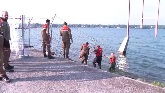 Grenzzaun aus Konstanz kommt ins Haus der Geschichte