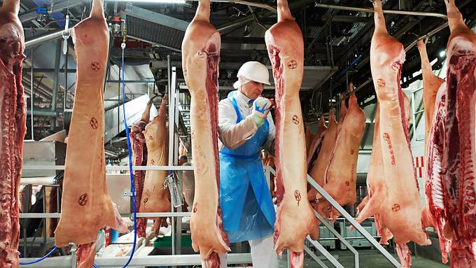 Schlachtermangel gefährdet Weihnachtsessen in Grossbritannien