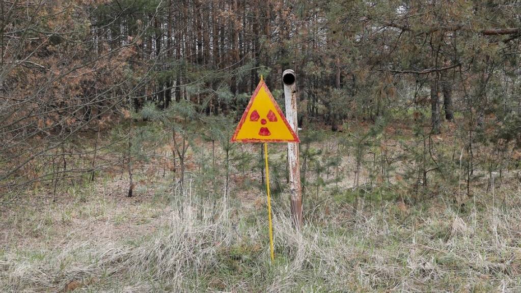 Warnschild in der Nähe des havarierten Kernreaktors in Tschernobyl. Trotz der Nuklearkatastrophe von 1986 plädieren mehrere osteuropäische Regierungen für Kernkraft als zwar riskante, aber emissionsarme Methode der Energiegewinnung. (Symbolbild)