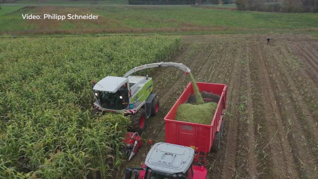 Tiktok-Star: Aargauer Jungbauer erreicht mit Traktoren-Videos tausende Zuschauer