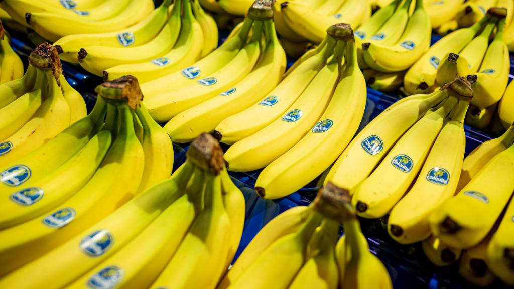 Bald Chiquita-Bananen aus Italien? Der Klimawandel soll es möglich machen. (Archivbild)