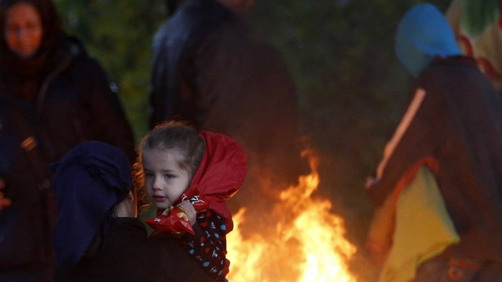 Flüchtlinge wärmen sich am Mittwoch an einem Feuer nahe des serbischen Ortes Berkasovo im Grenzgebiet zu Kroatien.