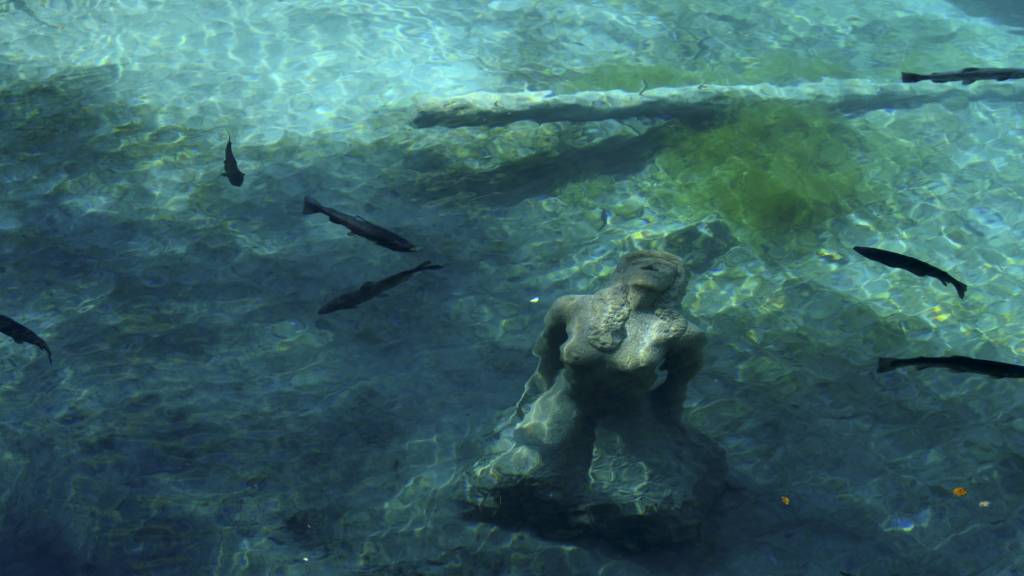 Für die Wanderung von Fischen gibt es in Gewässern im Appenzellerland zahlreiche Hindernisse. (Archivbild)
