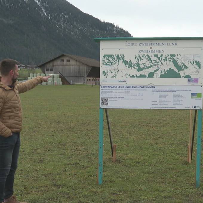 Wiese statt Weiss: Berner Langlaufgebiete können Loipen nicht präparieren