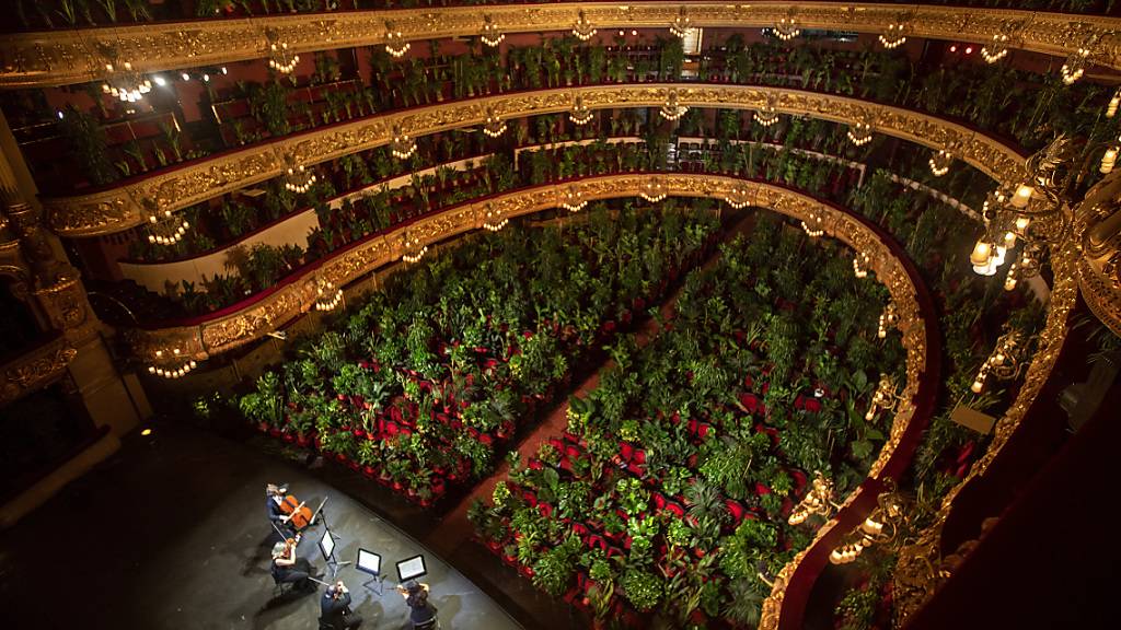 dpatopbilder - Musiker proben im Gran Teatre del Liceu, wobei alle 2.292 Sitzplätze mit Pflanzen besetzt sind. Foto: Emilio Morenatti/AP/dpa