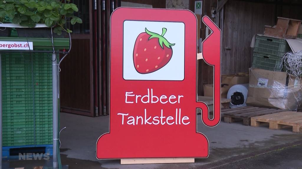 Erdbeeren statt Benzin: Erste Erdbeer-Tankstelle der Schweiz