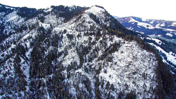 Föhnsturm fällte im Entlebuch 20'000 Bäume