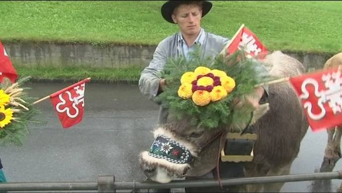 Vorschau auf Report