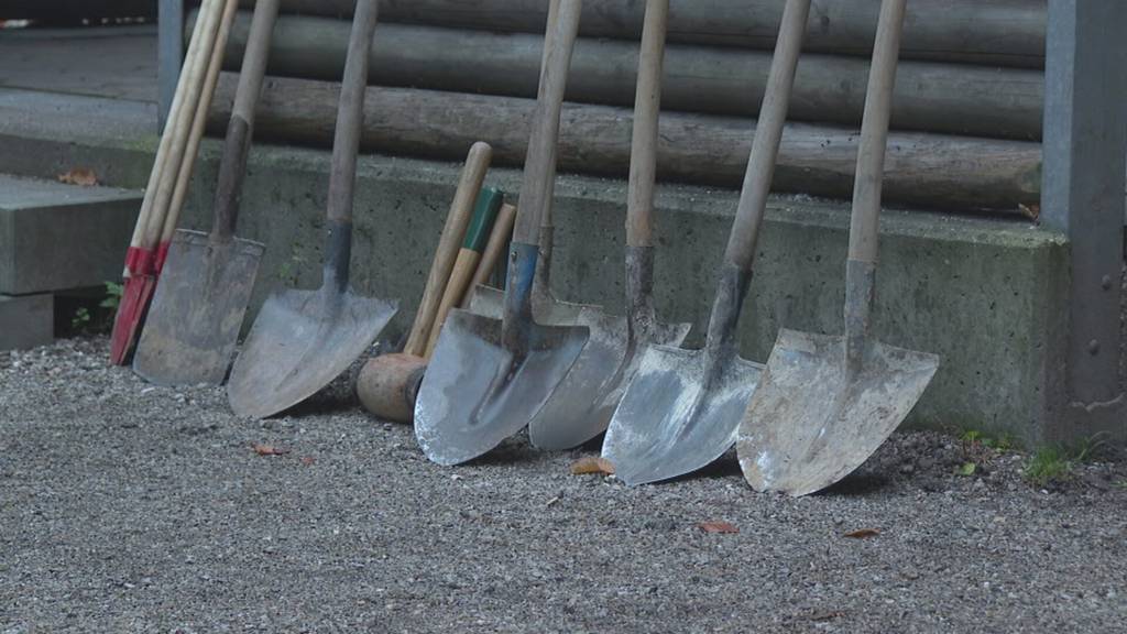 In Koppigen kann man seinen Lieblingsbaum pflanzen