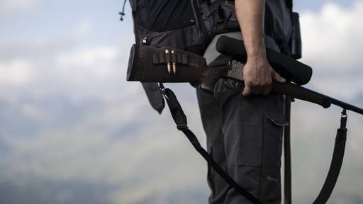 Bündner Jagdamt gibt tiefere Abschusszahlen für die Sonderjagd vor