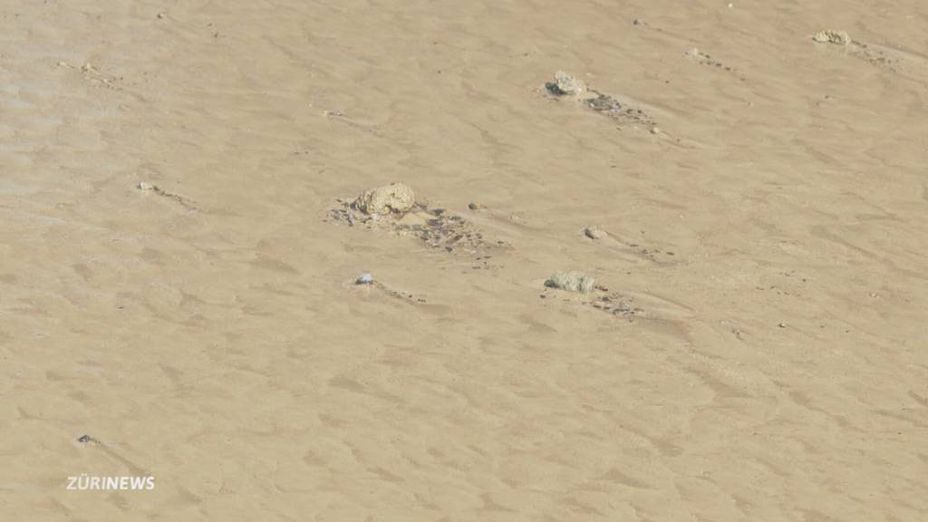 Wasserrohrbruch in Zürich: Erneut Strassen und Gleise geflutet