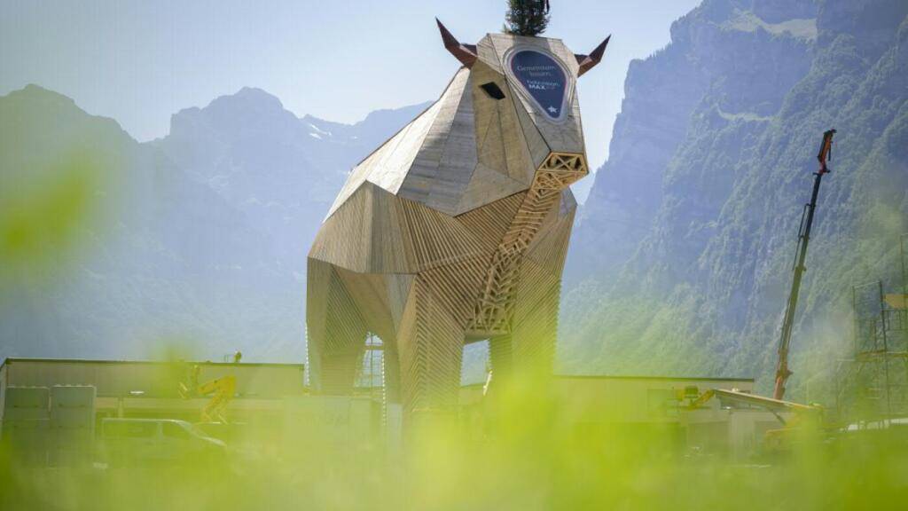 Der «Muni Max» soll künftig in Andermatt UR zu stehen kommen. Der Kanton Uri unterstützt die Konzeptphase finanziell. (Archivbild)