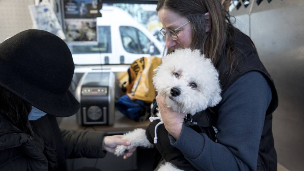 Der Zürcher Gassentierarzt behandelt vierbeinige Seelentröster