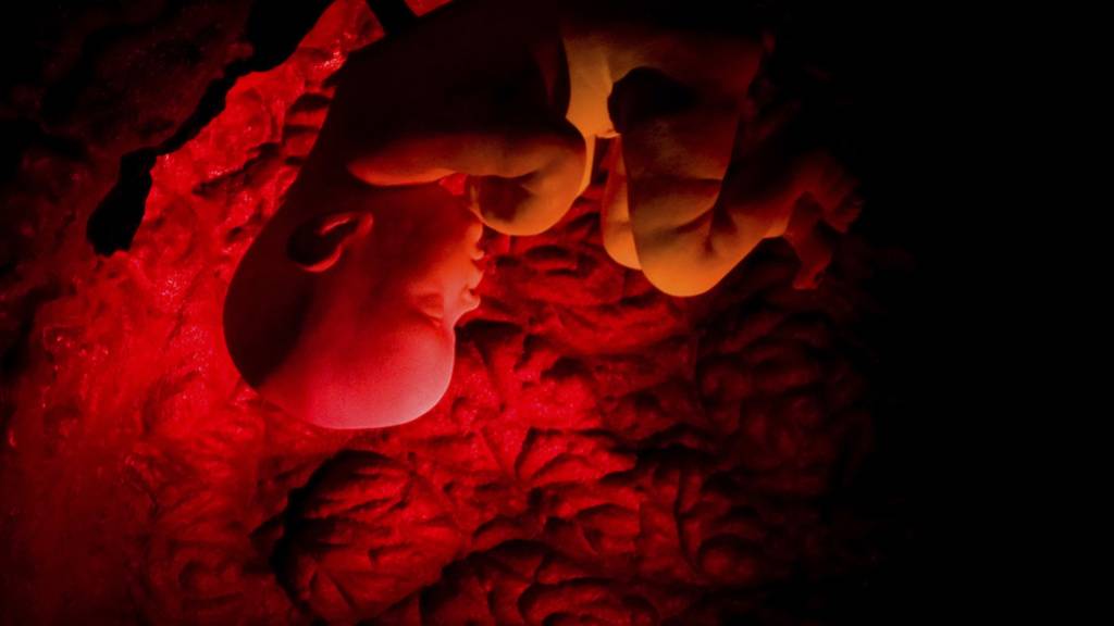 Rauchen schadet Embryo sogar noch nach dem Aufhören