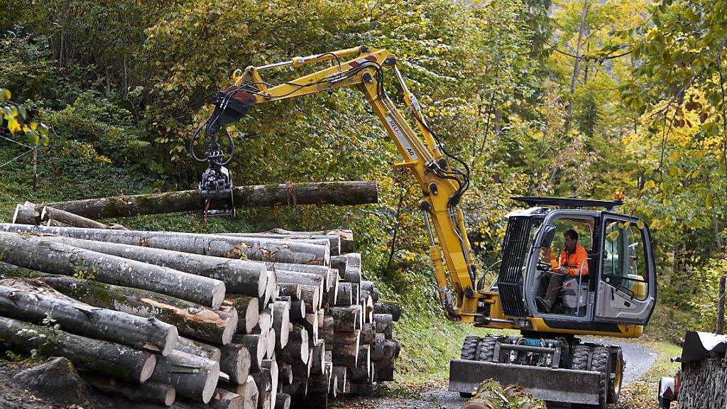 Der Anstieg der Holzpreise hat im vergangenen Jahr zu einem vermehrten Holzschlag geführt. (Archivbild)