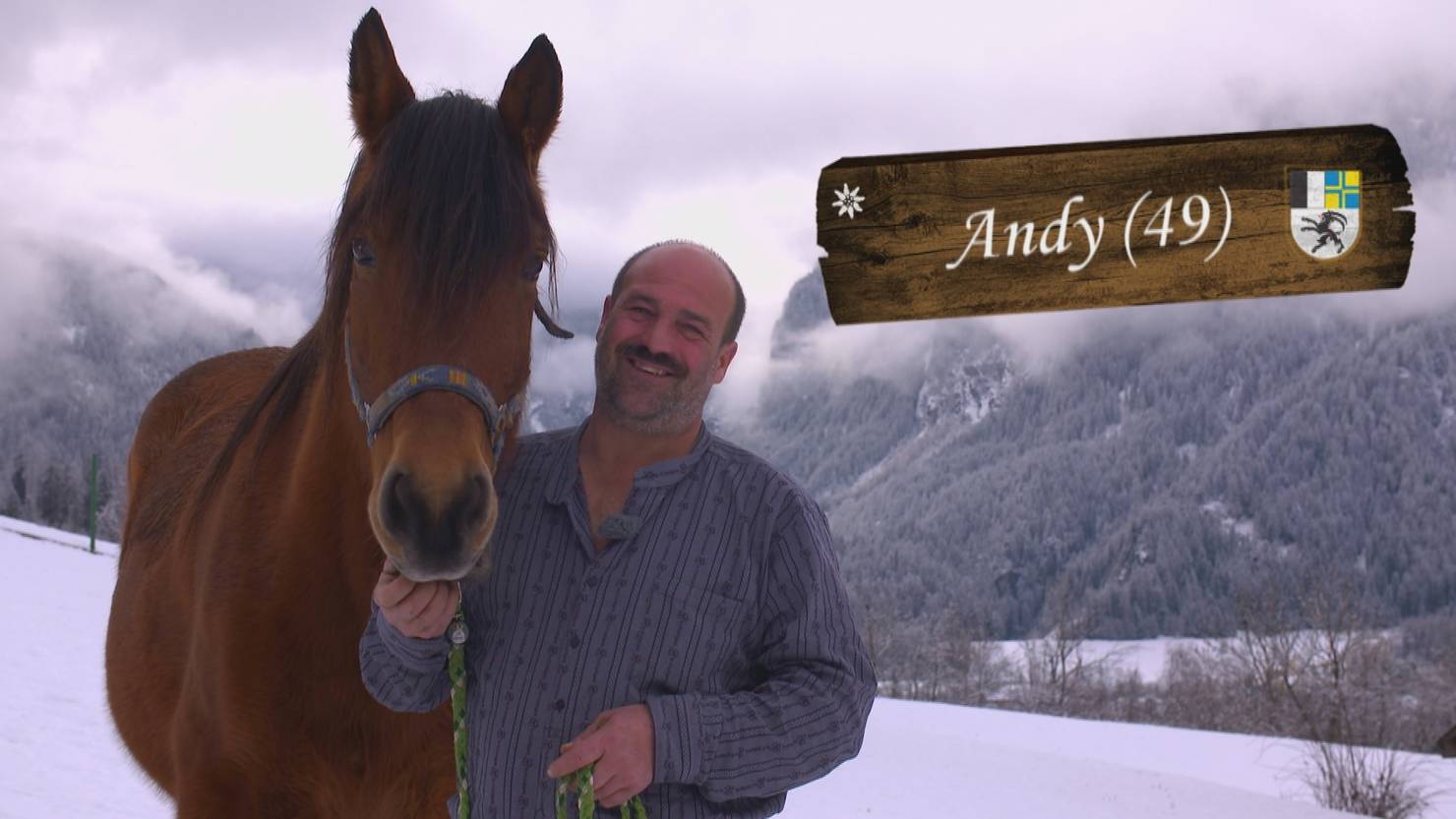 Portrait Andy 49 (GR) - 3+