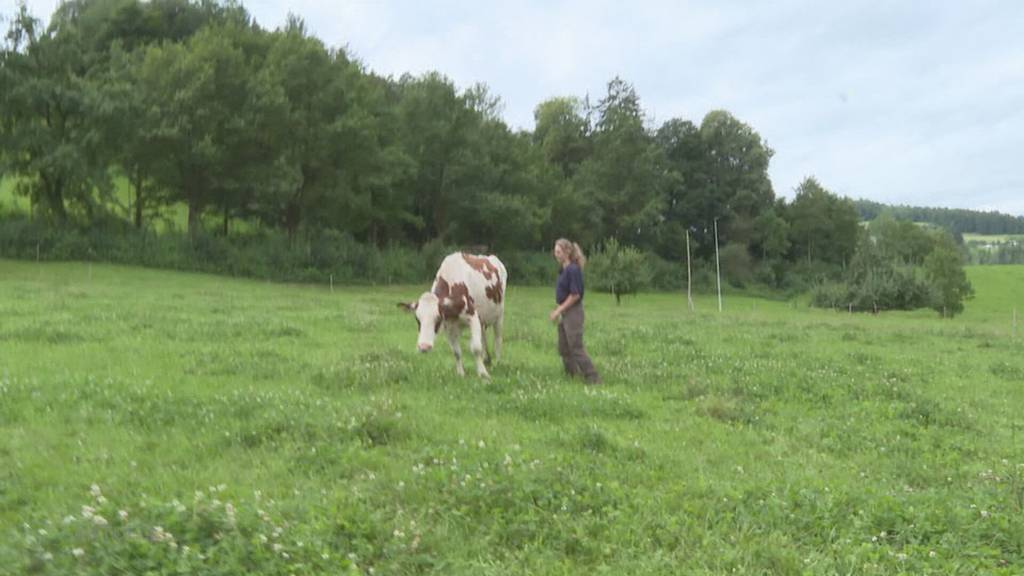 Hoch im Kurs: Wir begleiten eine angehende Landwirtin