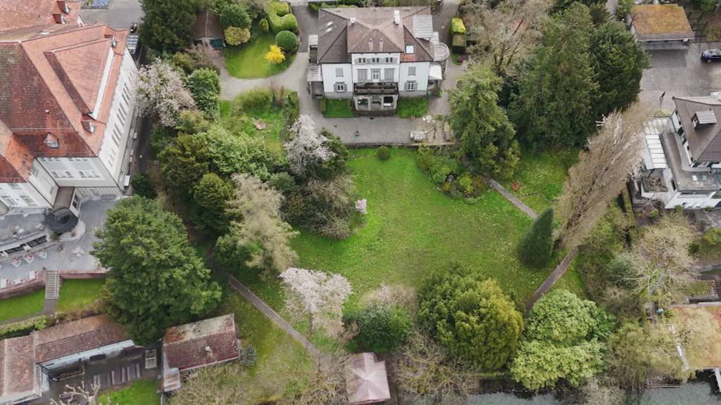 Polit+ - Stadtzuger Villenkauf