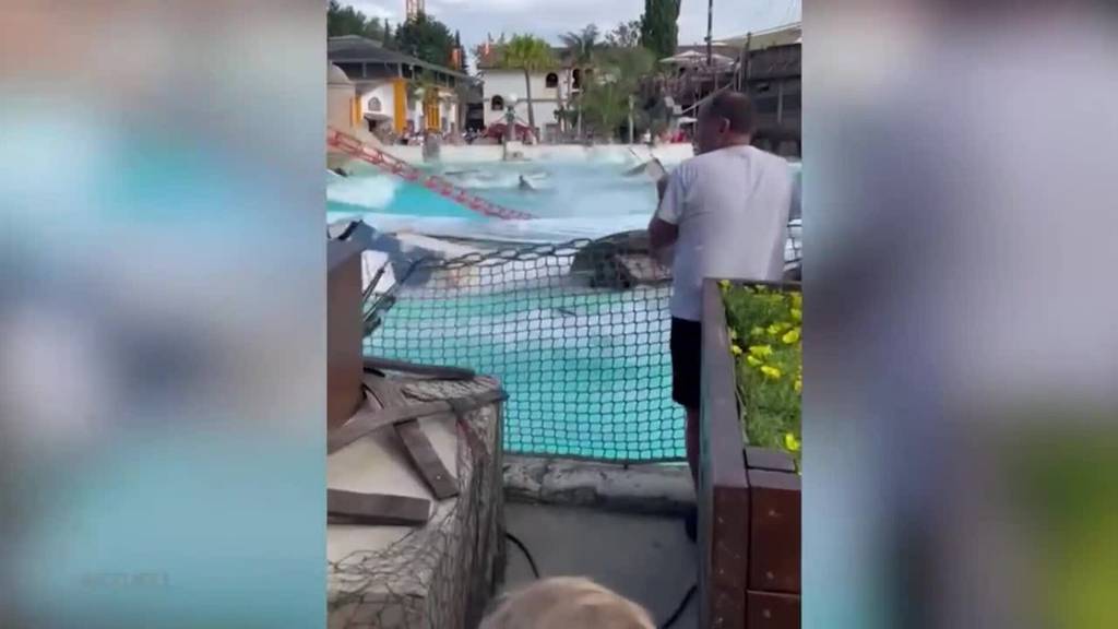 Verletzte im Europapark