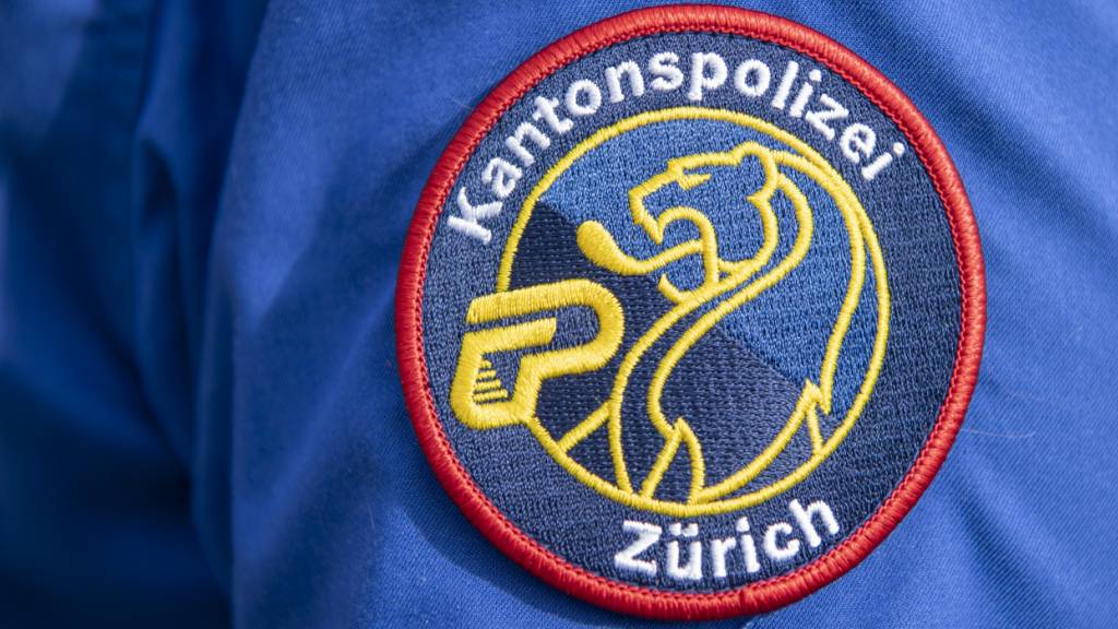 Wegen einem psychisch auffälligen Mann kam es am Dienstagabend in Oetwil am See ZH zu einem Grosseinsatz, an dem unter anderem die Kantonspolizei Zürich beteiligt war. (Archivbild)