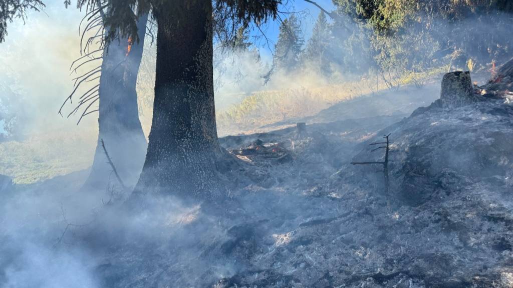 Die Einsatzkräfte brachten den kleinen Waldbrand unter Kontrolle.