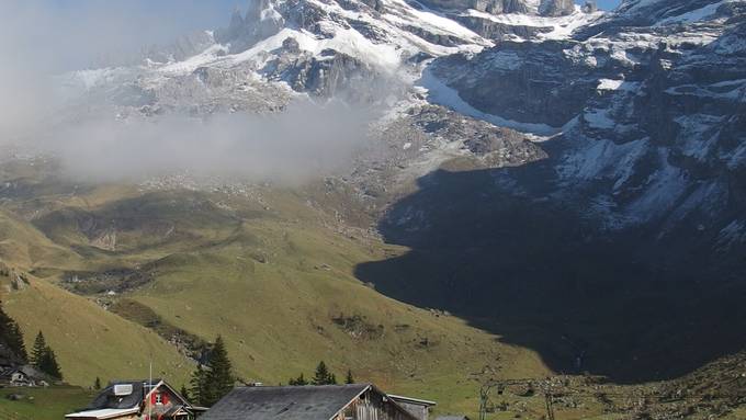 Kuhherde verletzt auf Bannalp zwei Wanderer