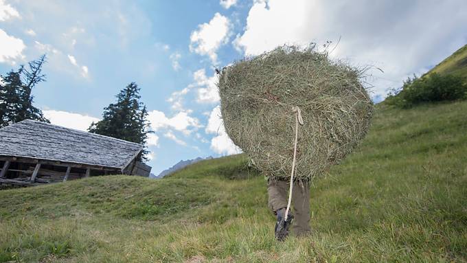 Uri, Schwyz und Zug fördern klimaschonende Landwirtschaft