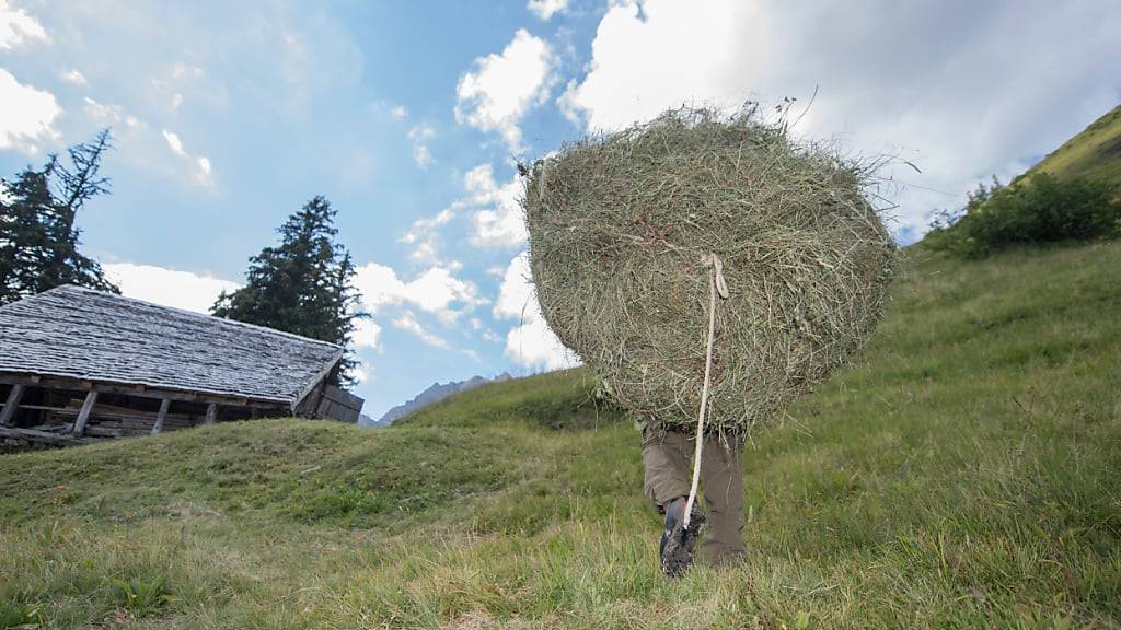 Die Kantone Uri, Zug und Schwyz haben gemeinsam das Projekt «Klimafitte Landwirtschaft» gestartet. (Symbolbild)