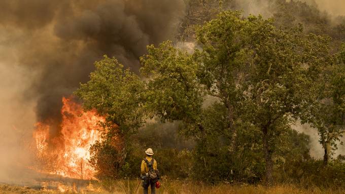 Kalifornische Waldbrände treiben Tausende in die Flucht