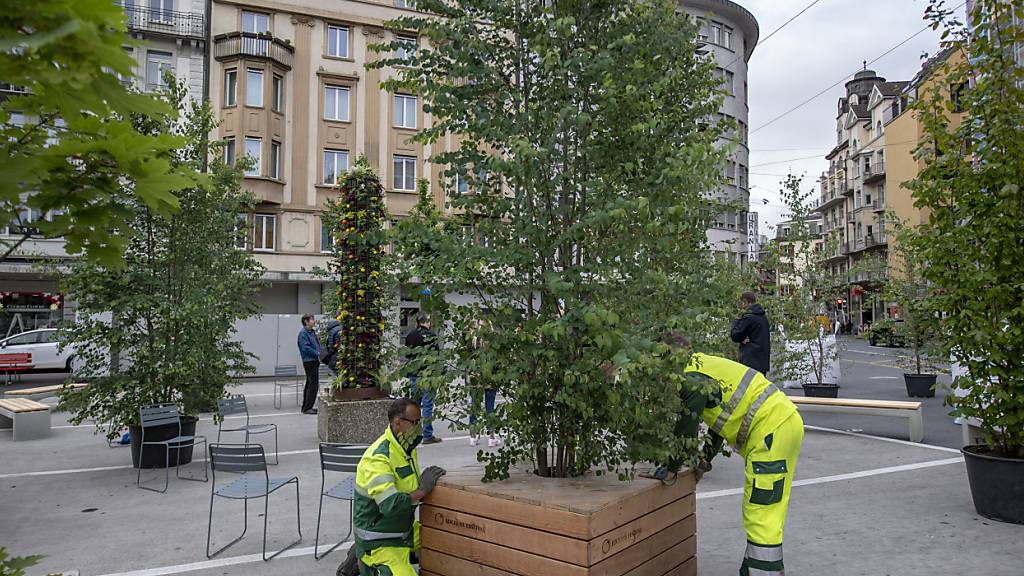 Stadt Luzern schafft fünf neue Stellen in ihrer Gärtnerei