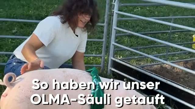 So herzig war die FM1 OLMA-Säuli-Taufe