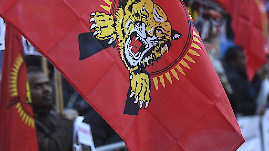 Das Bundesstrafgericht fällt sein Urteil gegen 13 mutmassliche Unterstützer der Tamil Tigers. Die Bundesanwaltschaft fordert Freiheitsstrafen zwischen 18 Monaten bedingt und sechseinhalb Jahren. Zum Prozessauftakt demonstrierten Sympathisanten der Tamil Tigers in Bellinzona. (Archivbild)