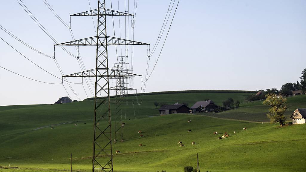 Im Gegensatz zum laufenden Jahr sollen die Strompreise 2025 eher wieder sinken. (Symbolbild)