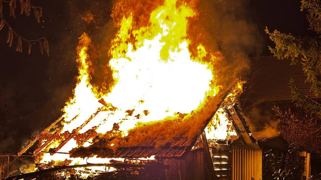 Der Holzschopf brannte komplett nieder.