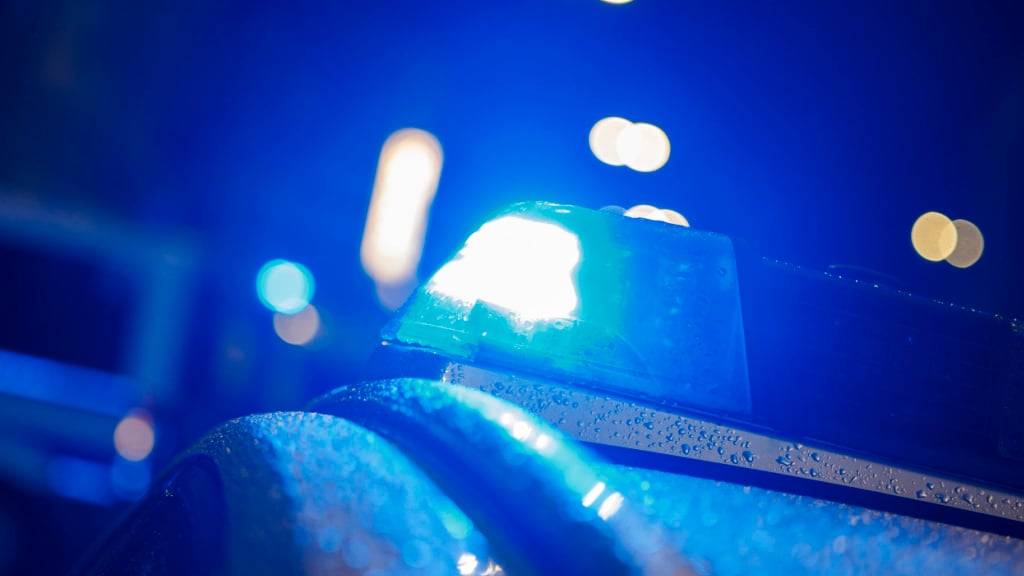 Ein mutmasslicher Autodieb wurde am Dienstag auf einem Parkplatz an der Axenstrasse schlafend von der Polizei festgenommen. (Symbolbild)