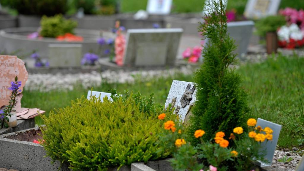 Auf diesem Zürcher Friedhof kannst du dich mit deinem Haustier beerdigen lassen
