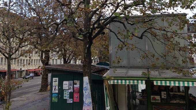 Stadtrat knickt ein: Baum am St.Galler Marktplatz darf vorerst bleiben