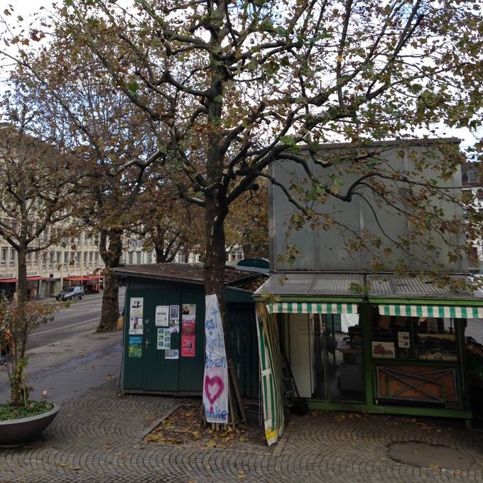 Stadtrat knickt ein: Baum am St.Galler Marktplatz darf vorerst bleiben