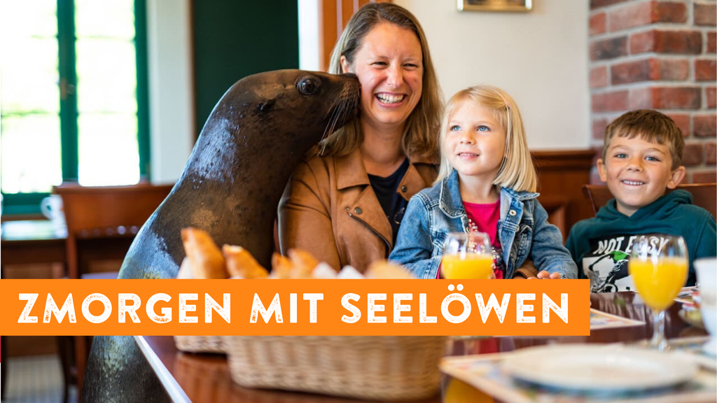 Gewinne Tickets fürs Connyland