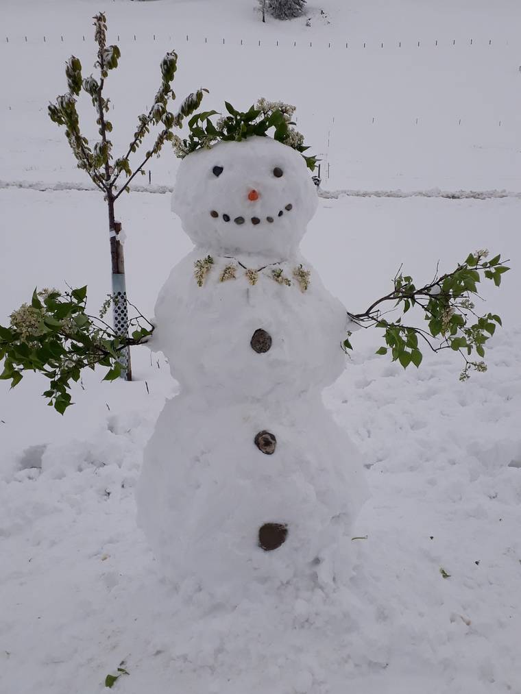 Familie Bänziger hat eine Schneefrau gebaut. (Bild: Leserreporter)