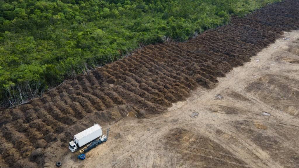 ARCHIV - Ein Lastwagen steht in einem abgeholzten Gebiet des Amazonas. Foto: Fernando Souza/ZUMA Press Wire/dpa/Archivbild
