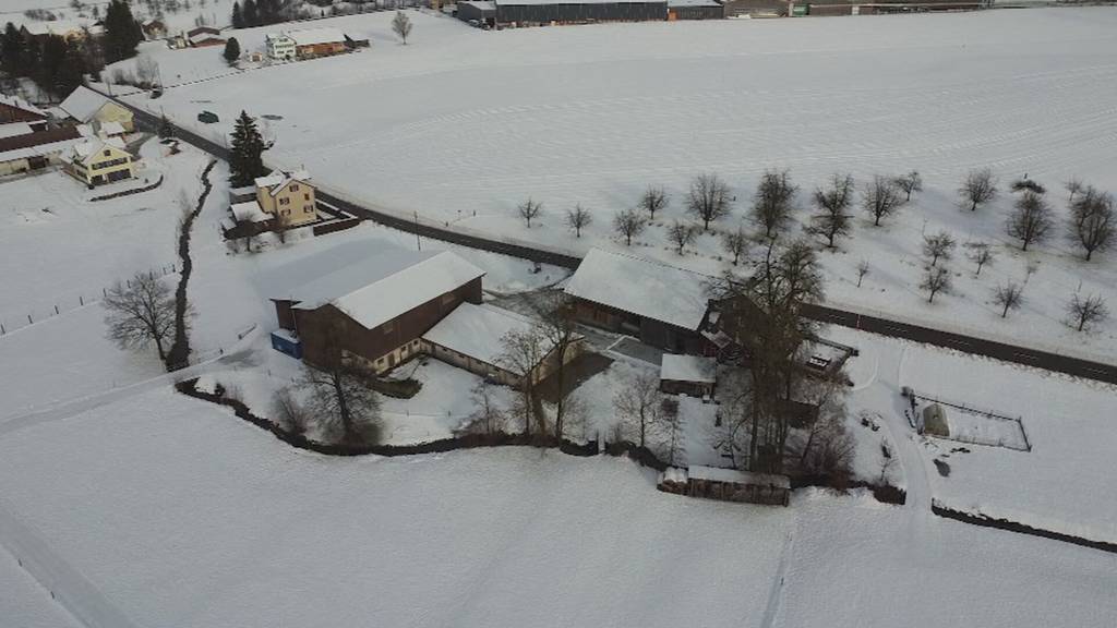 Krampfen für 17 Franken die Stunde: Ostschweizer Bauern wollen höheren Lohn