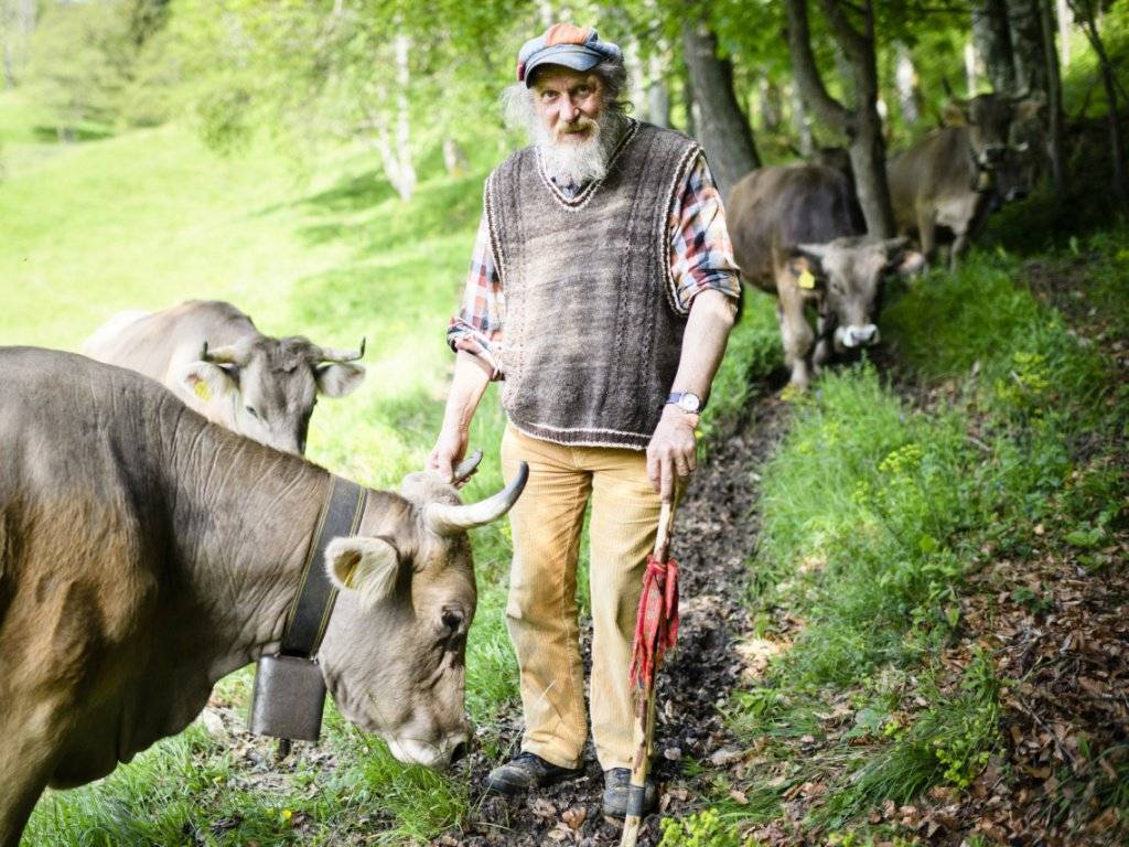 Dem Bergbauer Armin Capaul ging es bei der Abstimmung über die Hornkuh-Initiative um die Würde des Tieres. (Bild: Keystone/Manuel Lopez)