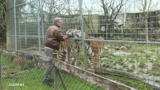 Zukunft von Stricklers Raubtierpark gesichert